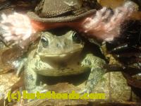 /home//u458753944/public_html/sourcegallery//McKaig Nature Center/2024-09-29/P9291578.JPG